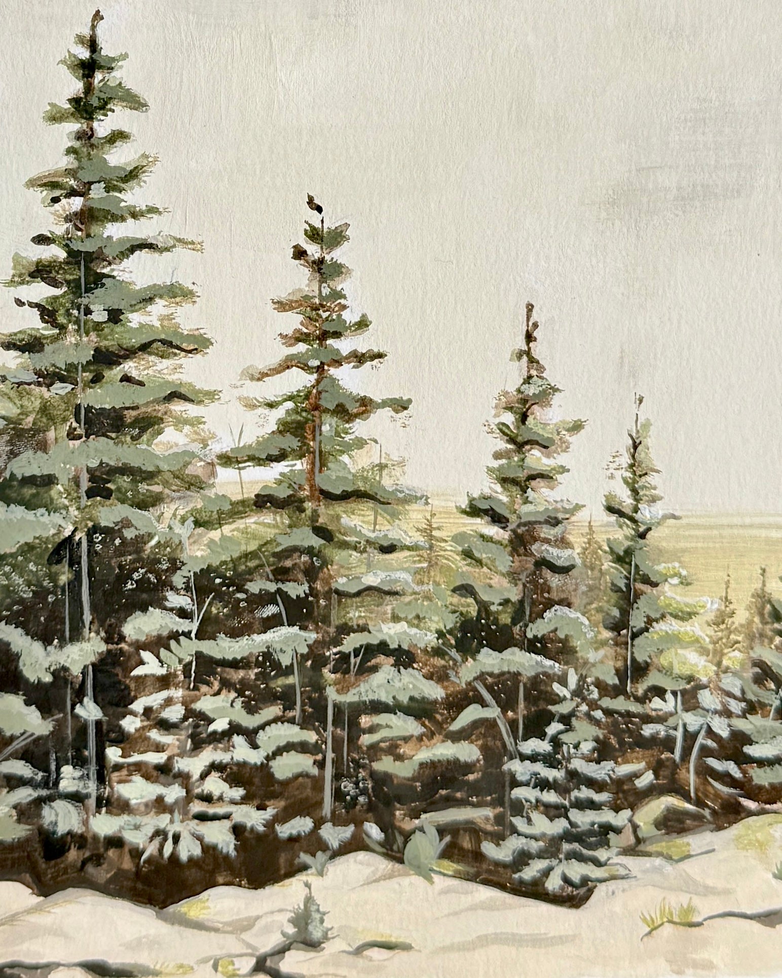 “Winter Pines” Postcard